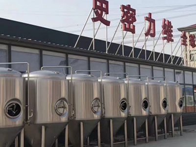 五湖渔场精酿啤酒设备厂—如何判断精酿啤酒设备的密封件需要更换？